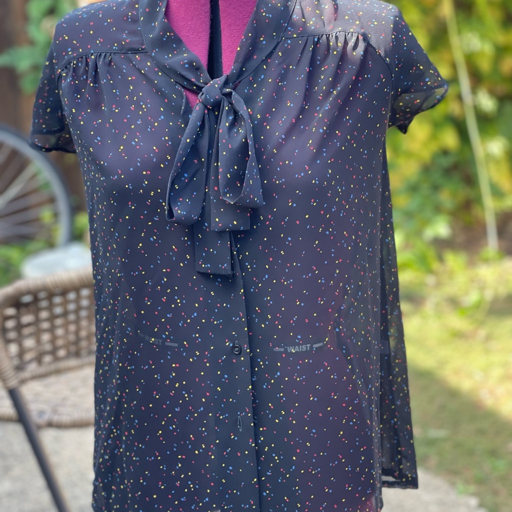 Pretty Chinese vintage sheer blouse